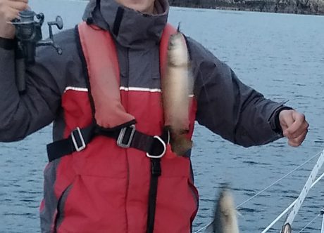 По Шотландии и с ForceSail