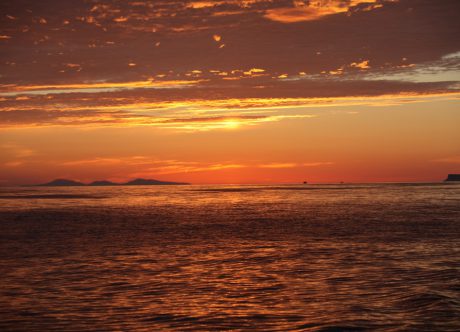 По Шотландии и с ForceSail