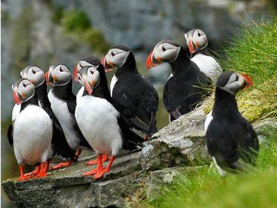 Северная Норвегия и Лофотены с ForceSail летом 2019