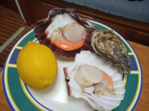 Скалопы и устрицы - ужин простого яхтсмена у берегов Бретони и нормандских островов