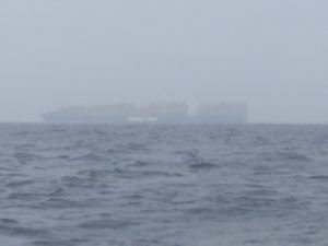 Туман. Видимость 500м