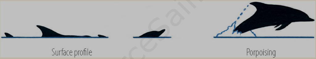 Схема прыжков дельфина